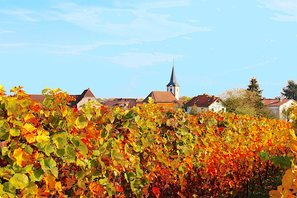 Typische Weinbaugemeinde bei Landau